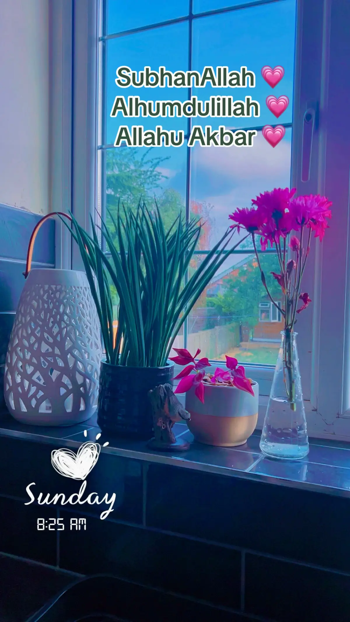 #fyp #muslim #muslimtiktok #muslimah #muslims #allahuakbar #subhanallah #alhumdulillah #alhumdulilah #subahanallah #jannahismygoal #islamic_video #islamic #godisgreat #godisgood #iamgrateful 