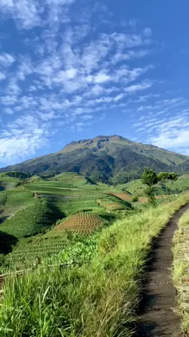 view setiap pagi🍃🙌🏻 #temanggung24jam #temanggung #temanggungview #sumbing #sumbingmountain #sindorosumbing #glapansari #glapansaritemanggung #exploretemangung 