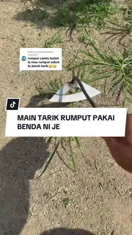Replying to @KedaiKakShah hahaha seronok tau #berkebun #kebun #rumputpanjang #vira 
