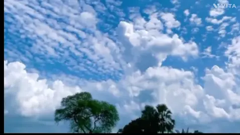 😅😅😅😅