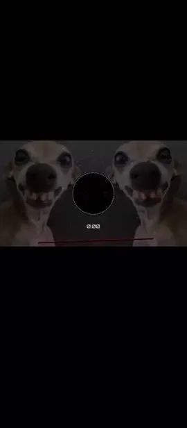#fulltrending dog 🐶 music 🎵#trending #foryou #useheadphones #arabicsong 