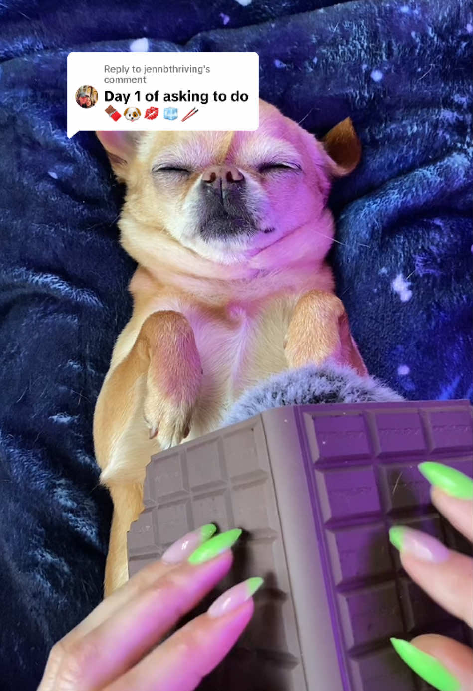 Replying to @jennbthriving #asmrsounds #asmrvideo #asmremojichallenge #perros 