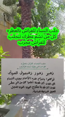 جلب النساء للفراش بالعطر= كل من تشم عطرك تنجلب للفراش مجرب #جلب_الحبيب #جلب_النساء #شيخ_روحاني_صادق #الروحاني_ابو_مالك #الشيخ_الروحاني_أبومالك_وآدم #السعودية #الرياض #سعوديات #الامارات #دبي #اماراتيات #عُمان #الكويت #كويتية #كويتيات #البحرين #قطر #الأردن #فلسطين #fyp #viral 