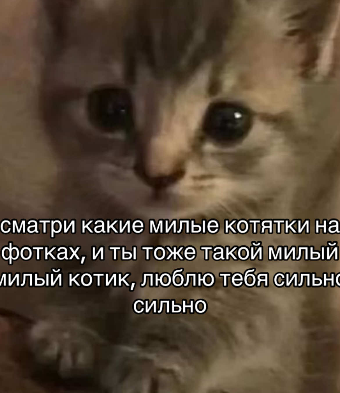отмечайте!!#любовь❤ #длянас #fypviral #щппролюбовь#рекомендации 
