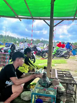blom ada cintany bolo🫠