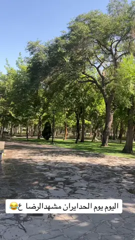 بس جماعه دیوانیه بقو بمشهد😂