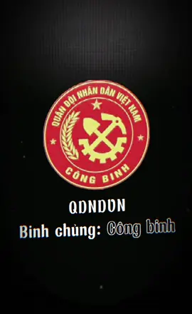 Binh chủng Công binh, một trong những binh chủng đầu tiên của Quân đội nhân dân Việt Nam, có lịch sử hình thành và phát triển gắn liền với các giai đoạn lịch sử của dân tộc. Tiền thân của Binh chủng Công binh là những tổ, đội đánh phá cầu đường, công sự của địch trong giai đoạn đầu của cuộc kháng chiến chống Pháp, sau đó phát triển thành các đơn vị công binh chuyên trách, đóng vai trò quan trọng trong các chiến dịch của quân đội. #congbinhvietnam 