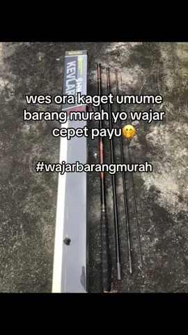 #xzycba #fyp #masukberandafyp #fyppppppppppppppppppppppp #malanghits #malang24jam #4u #foryoupage #foryou #rilislelemalang #rilislelejawatimur #rilisanlele #rilisanlele #pemancing 