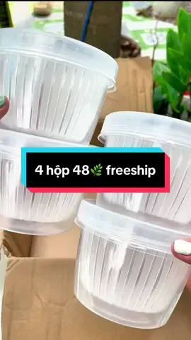 Combo 4 hộp Đựng thực phẩm hành tiêu tỏi ớt chỉ 48k miễn ship #giadungzyhome #hopdungthucpham #hopdunghanhtoi #xuhuong 
