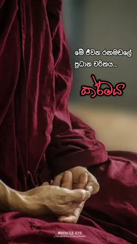අහන්න නිවෙන්න ☸️🙏 #buddha #buddhism #buddhist☸💫 #foryou #fyp #miracleeye 