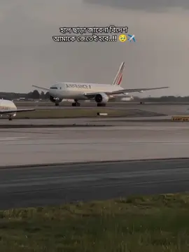 হাল ছাড়া জাবেনা বিদেশ  আমাকে জেতেই হবে..!! 🥹✈️#বিদেশ #foryou #fyp #miraz17 #miraz24 