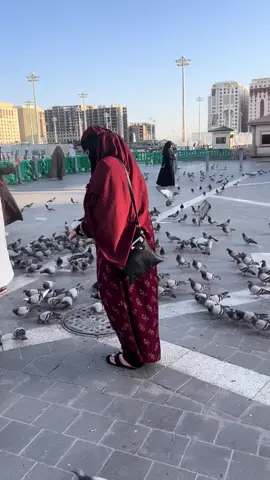 #🤲🏻🕋🤲🏻🕋🤲🏻🕋 #🙏🤲🏻 