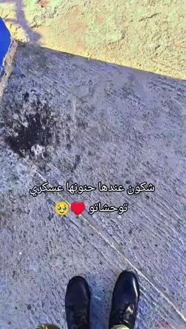 #طاقيها #طاقيها_تشوفها_روحها #طاقيها💍طاقيه❤️ #طاقيها_قلها_كي_ليوم_انشاله🥺💍 #الجزائر🇩🇿😘تيك_توك_ #الجيش_الوطني_الشعبي🇩🇿🇩🇿💪♥️ #الدرك_الوطني_الجزائري #عسكري_جزائري_وافتخر_🇩🇿🇩🇿🇩🇿🇩🇿🇩🇿🇩🇿🇩🇿 #شعب_الصيني_ماله_حل😂😂 #طاقيها💍طاقيه❤️ 