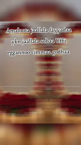 #islamic #fyppppppppppppppppppppppp #ethiopian_tik_tok #ethiopian_tik_tok🇪🇹🇪🇹🇪🇹🇪🇹 #ethiopia #oromtiktok❤️💚❤️ethiopiantiktok💪💪❤️ #oromtiktok❤️💚❤️ethiopiantiktok💪💪❤️ #oromotiktok❤️💚❤️oromiy❤🖤🤍 #fyt #oromotiktok #muslimtiktok #oroomoo #ethiopian_tik_tok🇪🇹🇪🇹🇪🇹🇪🇹 @Lammii motivation 