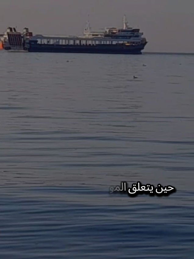 حين يتعلق الموضوع براحتك النفسية يحق لك إنك تستغني عن الجميع بدون أي تأنيب الضمير ياأخي فكر بنفسك شوي ما في أهم من راحتك النفسية #تركيا #اسطنبول #الغربة #مغترب #شعروقصايد 