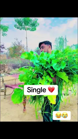 Single sary is line mn aa jao 💔😂😭 #foryou #mudassaralijutt @🔥𝑱𝓾𝓽𝓽~𝙎𝙖𝙖𝙗༻جٹ صاحب🔥 