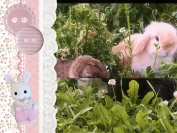 me core #korn #music #aesthetic #bunny #bunnies #cute #viral #fyp #fypシ #viral #moodboard #moodboardaccount #wlw #09 #whimsy #twee #flowers #edit #fypシ゚viral 