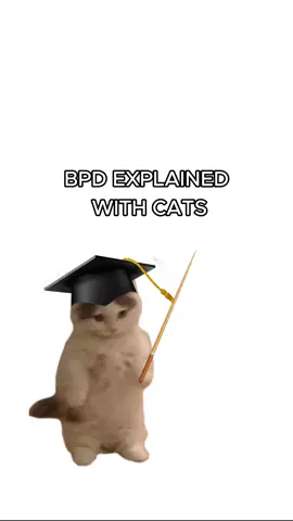 kitty explains BPD #explain #funny #kitty #thinkitty #kittycat #Minecraft #tuna #zyxbca #temu 