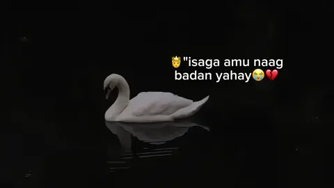 Sawirkeeda…😂💕#fypviralシviral #viewsxumo💔 #foryoupage #viewsproblem😭 #views #fyp #viralvedio 
