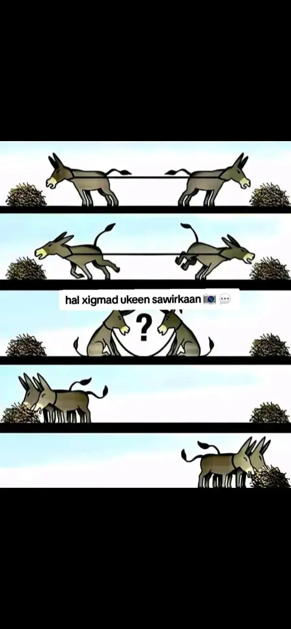 #💗💗💗💗💗💗💗💗💗💗 #hal-xigmad-oo-muhiin-ukeen🥰🥰🥰