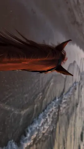 تقود الجميلة ناهية كل الأوصاف🐎🤎