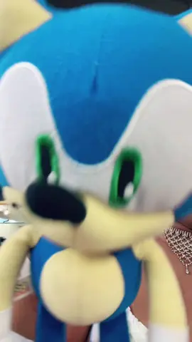 pov: u kissed a hedgehog 🤭 #reneerules567 #princesselisesonic06 #sonicthehedgehog #princesselise #sonicvsshadow #animetiktok #blackgirlcosplay #divinecosplayer #fyp 