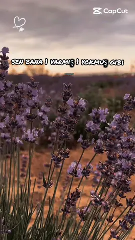 #Bende yokmuş gibi davranırım 🍂#keşfet 