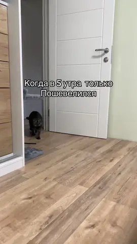 #ВэтотДень 