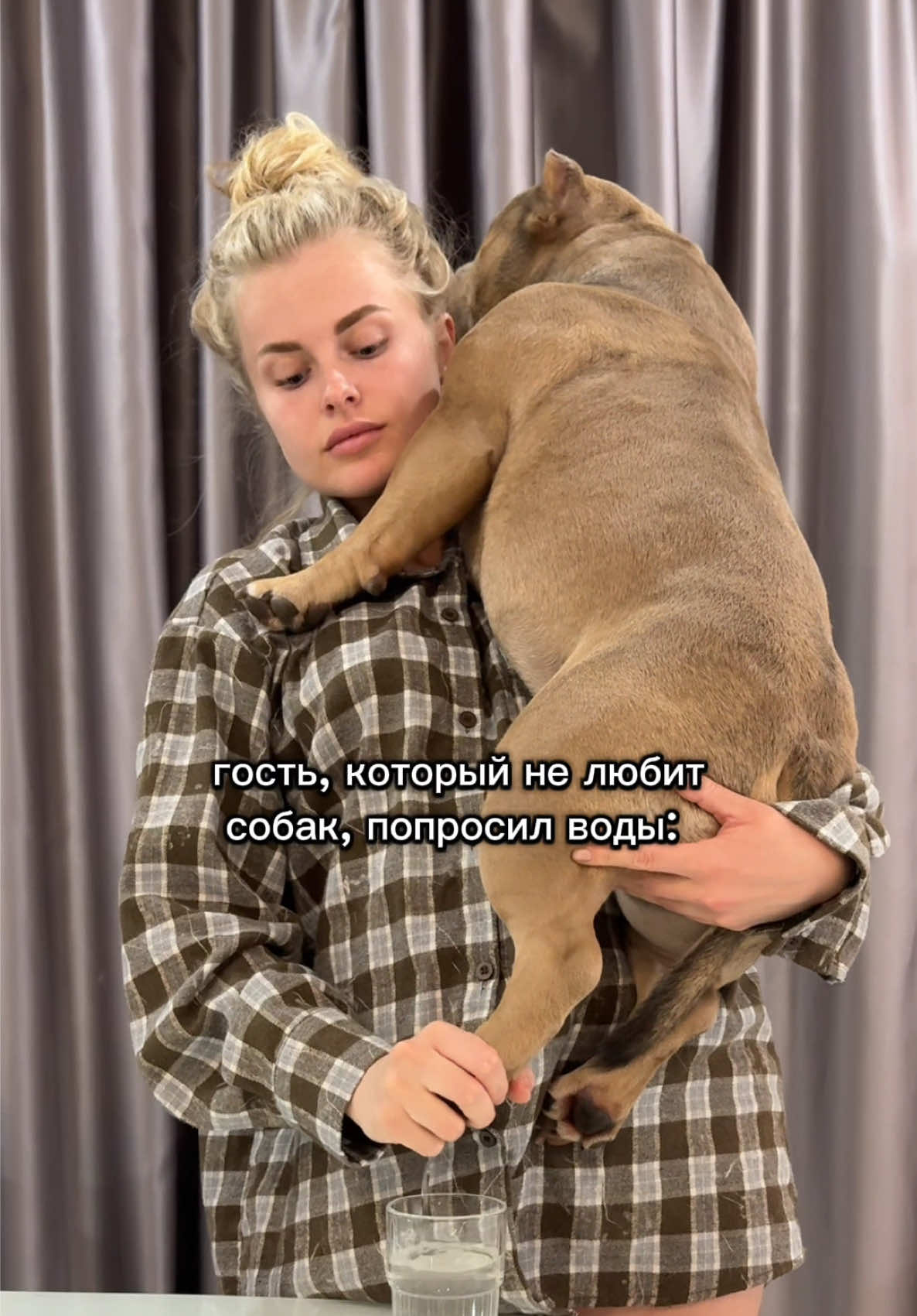 #американскийбулли #булли #americanbully #bully #bullydog #americanbullyofficial #americanbullylover #americanbullypocket #funnydogvideos #funnydog 