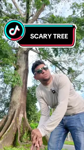 Scary Tree Middle Of The Road In Guyana 🇬🇾 #guyana #caribbean #funny 