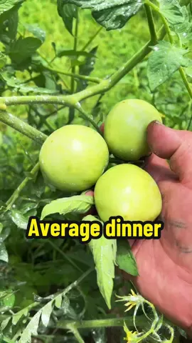 Grow your own dinner #fyp #catchcleancook #beardedfisherman #fishing #fish 