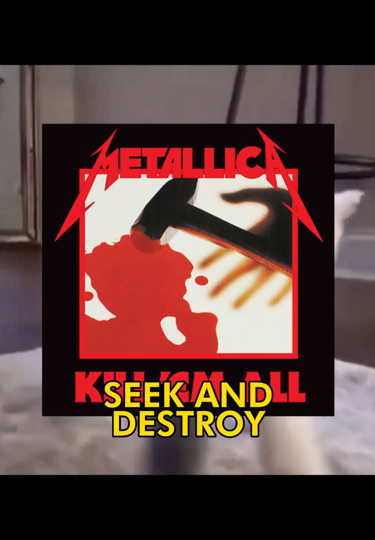 🗣️🗣️ SEEK AND DESTROY 🔥🔥 #seekanddestroy #metallica #cat #catcore #cattok #catsoftiktok #songoftheday #fyp 