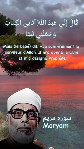 Sourate 19 du Saint CoranMaryam (Marie)سورة مريم ♪︎Mahmoud khalil al-hussary #hussary #pourtoi #quran #fyp 