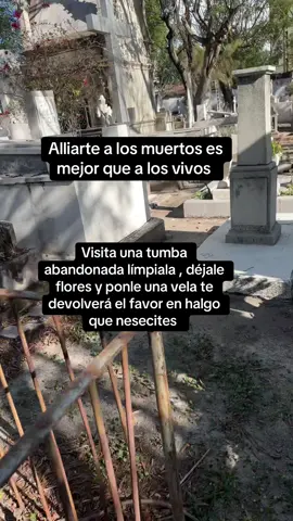 #difuntos #paleria #muerte #brujo #neg #magia negra #magianeg #magianegrapoderosa #brujosmexico #chamanismo #chamanismomexicano #brujeriasdetiktok #wich #wichcraft #virginia #oregon #arkansas #lowa #utah 