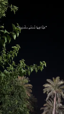 عَيْنًا فِيهَا تُسَمَّىٰ سَلْسَبِيلًا #محمداللحيدان #القران #القرآن_الكريم #سلسبيلاا💗 
