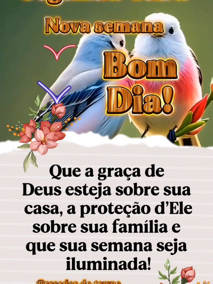 Bom dia, segunda-feira!🌷 #bomdia #segundafeira #boasemana #mensagemdereflexão #mensagem #segundou #semana 