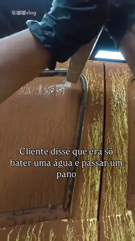 Só um paninho resolve! #garagemautospa #esteticaautomotiva #familiagarageira #timon #humor #paninho 
