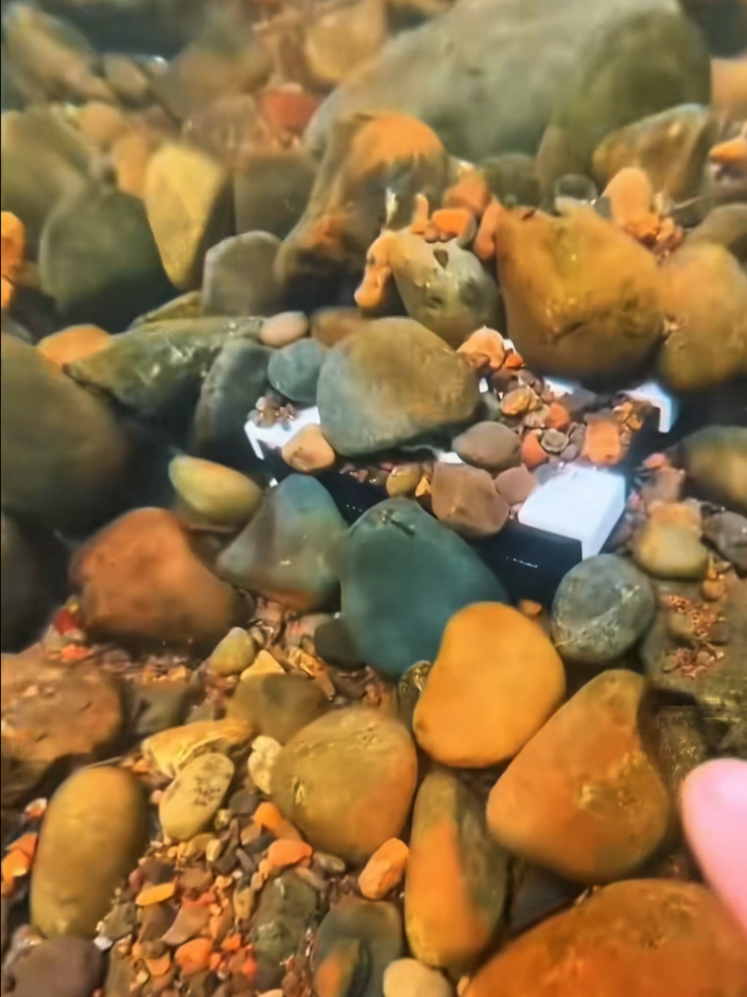 #scubadiving #satifyingvideo #asmrtingles #asmrsounds #asmrtiktoks #satisfying #satisfy #asmr