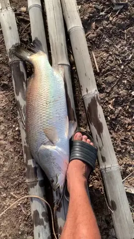 Lên hàng#fishing #tiktokshop #caucagiaitri #xuhuongtiktok 