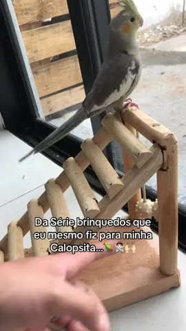 Brinquedos que fiz com restos de madeiras e cabos de Vassoura 🙅🏻🙅🏻 #calopsita #calopsitas_mansa #calopsitaslove #calopsitasnotiktok #calopsitas #calopsitabrasil #brinquedoscalopsita #brinquedos #calopsitas_brasil #calopsitasilvestre 