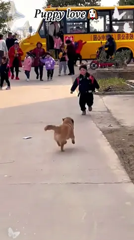Dog eagerly greet owners coming home from school 🐶🐶#dog #dogbaby #dogsoftiktok #puppy #animals #puppylife #usa #fyp #tiktok 