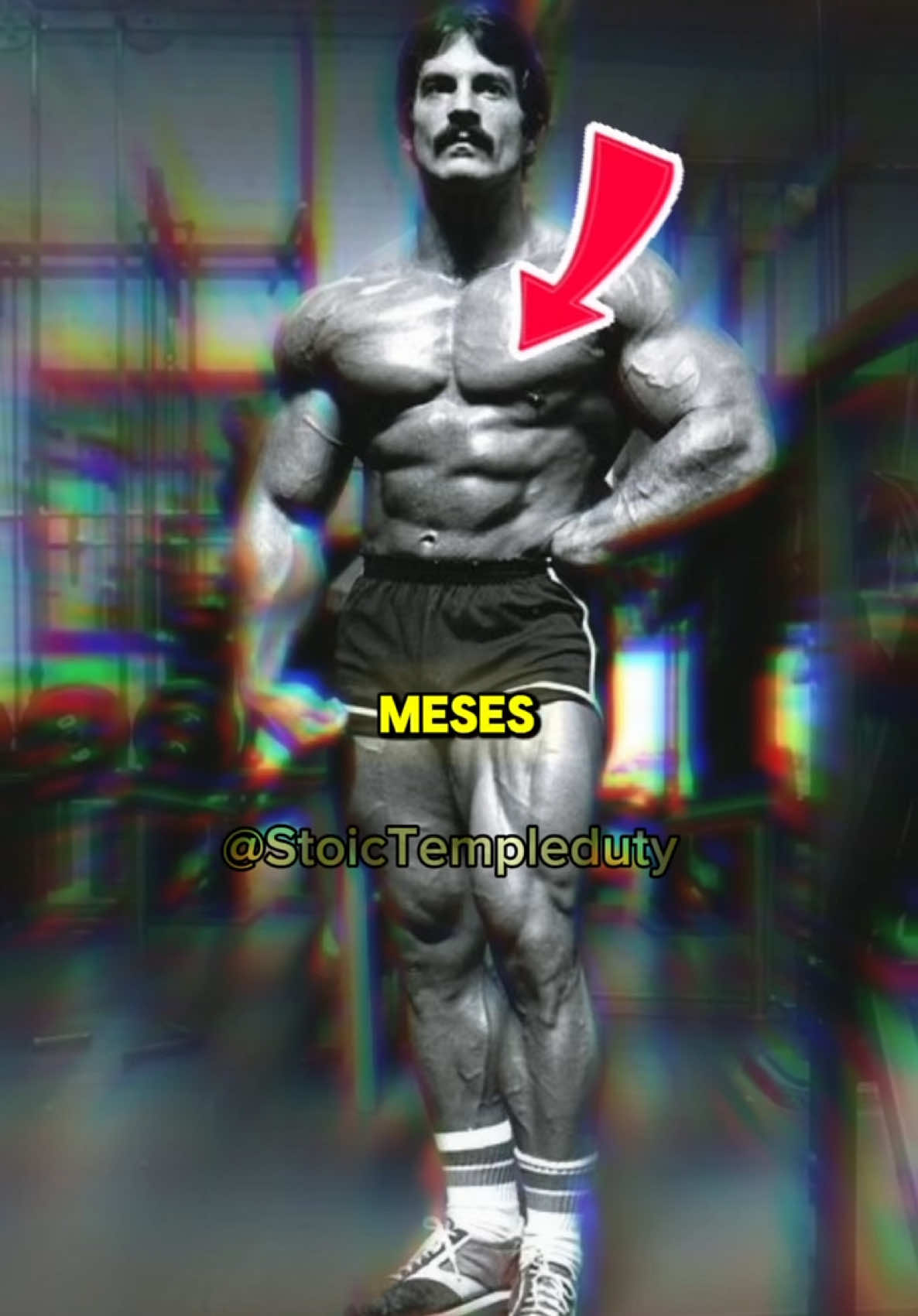 Mejor ejercicio de pecho para crecer en 2 meses según Mike #curiosidades #Fitness #pecho #mikementzer #gym 