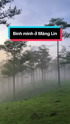 Bình minh ở đồi Măng Lin #chill #dalatstatus #sanmay #Dalat 
