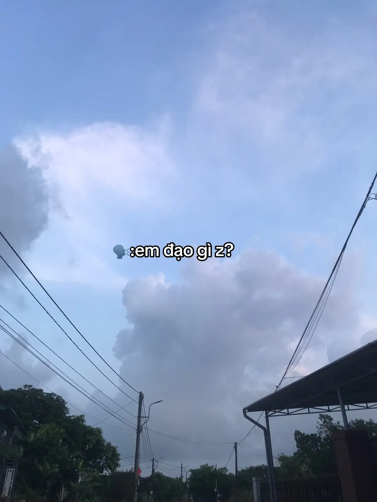 🪷Phật Giáo🪷