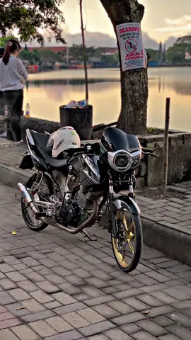 #torpedoo #tigerlookstyle #pcstyle #tigerdownsize 