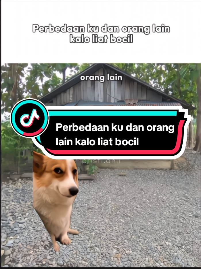 terlihat jelas perbedaannya🗿 #memekucing #memes #fyp 