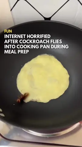 BURN THE WHOLE KITCHEN NOW Follow @saysdotcom for more fun stories! 🎥: @Ayladyla  #SAYScomel