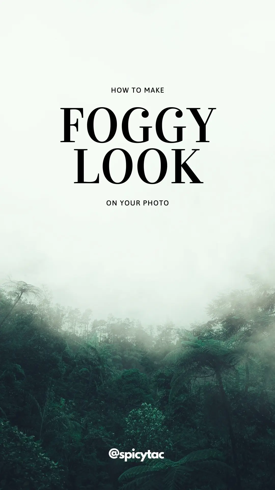 Turn your world into a dream—here's how to create that foggy photo look #phonephotography #iphonephotography #photography #forest #foogyweather #adobelightroommobile #lensdistortions #editing #tutorial #fyp 