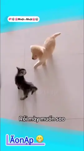 tưởng cam là ngon à 😂@🎼🌸Muội-.-Muội🌸🎼 