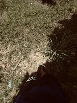 我已经放弃你了，谢谢你的到来 